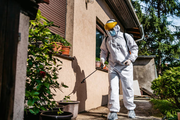 Best Best Pest Control Companies  in Rantoul, IL