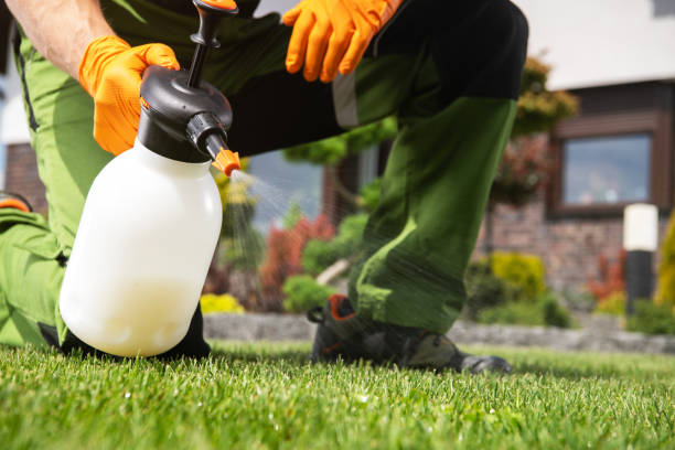 Best Emergency Pest Control  in Rantoul, IL