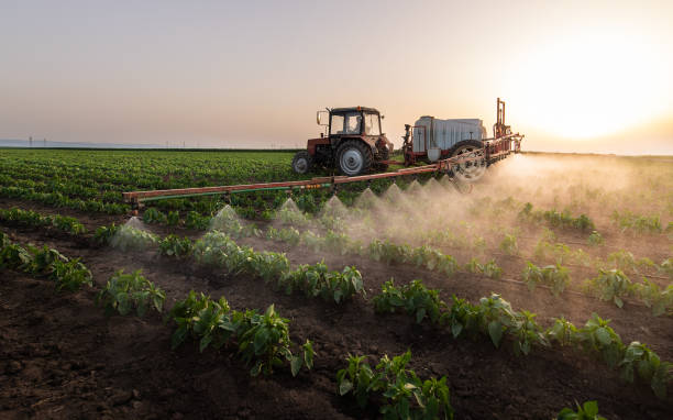 Best Mosquito Control Services  in Rantoul, IL