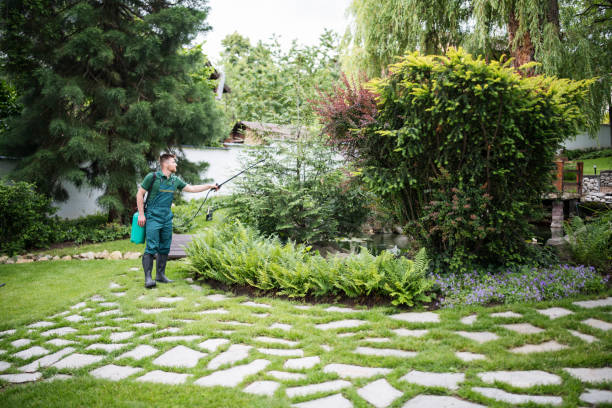 Best Commercial Pest Control Services  in Rantoul, IL