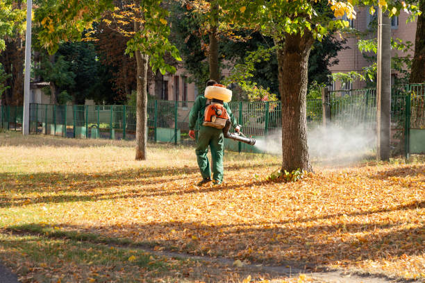 Best Pest Removal Services  in Rantoul, IL